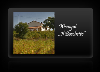 Weingut Il Boschetto