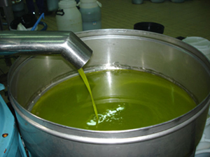 Das fertige Olivenöl